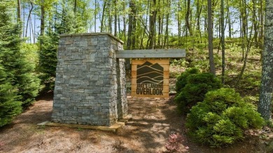 Lake Lot For Sale in Ellijay, Georgia