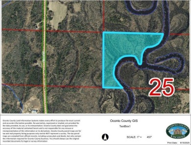 Lake Acreage For Sale in Suring, Wisconsin