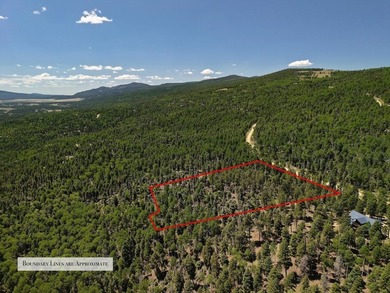 Monte Verde Lake Acreage For Sale in Angel Fire New Mexico