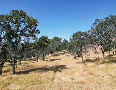 LocationProperty is located north of the CA-63 and CA-180 - photo 14