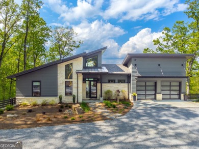 Lake Home For Sale in Tiger, Georgia