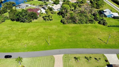 Rare Double-Lot Opportunity! This cleared lot in Burnt Store - photo 9
