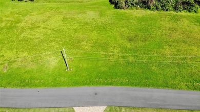 Rare Double-Lot Opportunity! This cleared lot in Burnt Store - photo 10