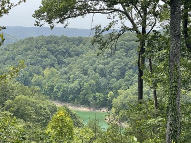 1 Acre Lake Cumberland Lake View Building Lot - photo 7