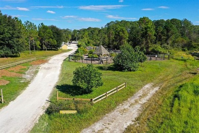 Ready to build your dream home? You have the perfect lot in - photo 42