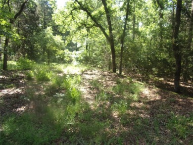 Lake Lot For Sale in Murchison, Texas