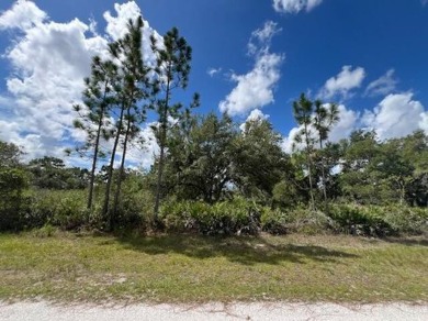 Lake Weohyakapka (Lake Walk-In-Water) Lot For Sale in Indian Lake Estates Florida