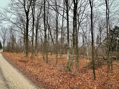 Big Twin Lake Lot Active Under Contract in Pickerel Wisconsin