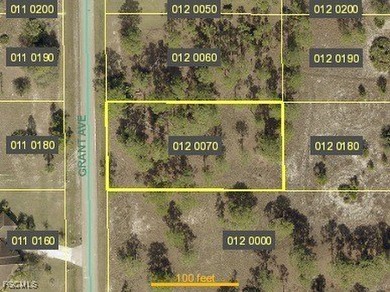 Lehigh Acres Area Lot For Sale in Lehigh Acres Florida