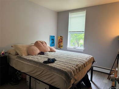 Located in the heart of Melrose, the South Bronx, 757 Elton Ave - photo 14