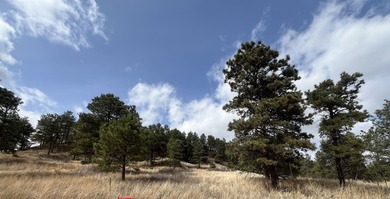 (private lake, pond, creek) Lot For Sale in Valentine Nebraska