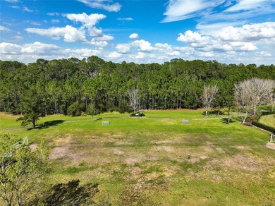 Ready to build your dream home? You have the perfect lot in - photo 49