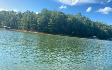 Year round water with beautiful lake & forest service views! - Lake Lot For Sale in Blairsville, Georgia