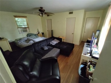 Located less than a mile from Historic Downtown Mount Dora, this - photo 12