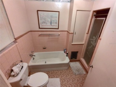 Located less than a mile from Historic Downtown Mount Dora, this - photo 14