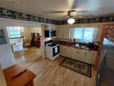 Located less than a mile from Historic Downtown Mount Dora, this - photo 19