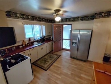 Located less than a mile from Historic Downtown Mount Dora, this - photo 20