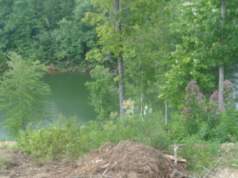 Lake Front Building lot  12located on Sleepy Hollow Rd East - Lake Lot Under Contract in London, Kentucky