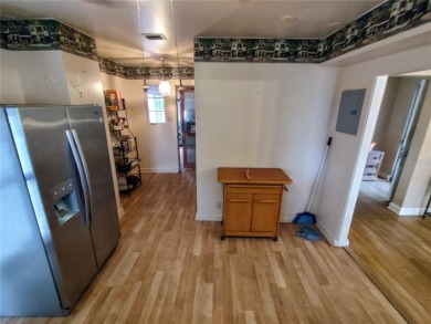 Located less than a mile from Historic Downtown Mount Dora, this - photo 21