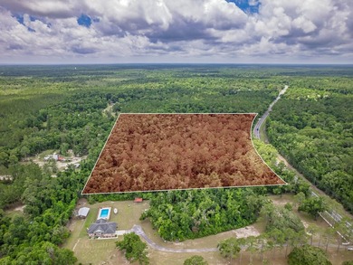 Discover prime potential with these two 9.36-acre parcels in - photo 22