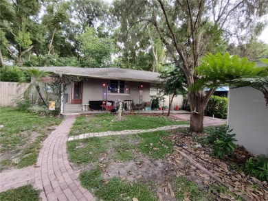 Located less than a mile from Historic Downtown Mount Dora, this - photo 25