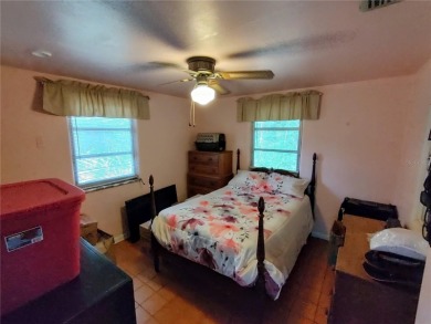 Located less than a mile from Historic Downtown Mount Dora, this - photo 29