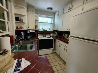 Located less than a mile from Historic Downtown Mount Dora, this - photo 31