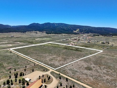Monte Verde Lake Commercial For Sale in Angel Fire New Mexico