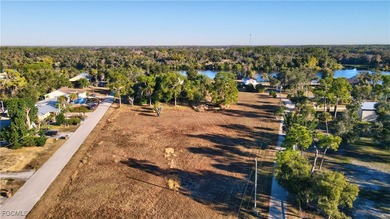 LOCATION: On the Caloosahatchee River East of Downtown Fort - photo 33