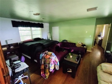 Located less than a mile from Historic Downtown Mount Dora, this - photo 33