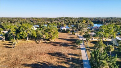 LOCATION: On the Caloosahatchee River East of Downtown Fort - photo 34