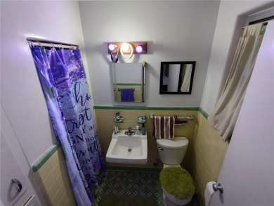 Located less than a mile from Historic Downtown Mount Dora, this - photo 35