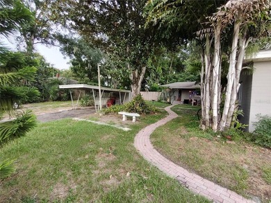 Located less than a mile from Historic Downtown Mount Dora, this - photo 40