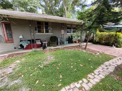 Located less than a mile from Historic Downtown Mount Dora, this - photo 41