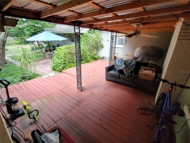 Located less than a mile from Historic Downtown Mount Dora, this - photo 43