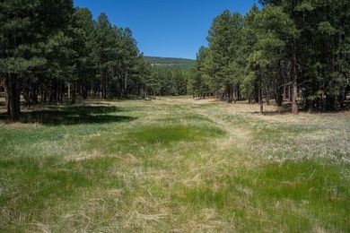 LAKE ACCESS | Lot 551, Cimarron Trail.... Tucked away in a - photo 4
