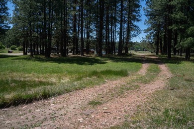 LAKE ACCESS | Lot 551, Cimarron Trail.... Tucked away in a - photo 5