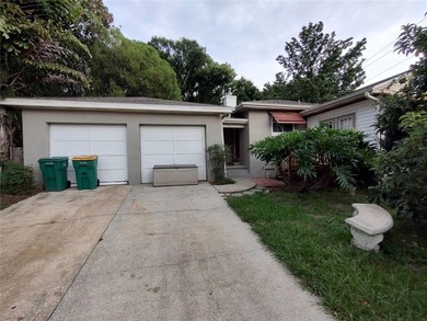 Located less than a mile from Historic Downtown Mount Dora, this - photo 46