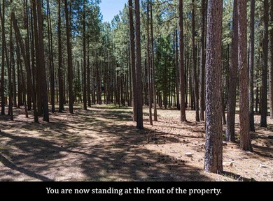 LAKE ACCESS | Lot 551, Cimarron Trail.... Tucked away in a - photo 8