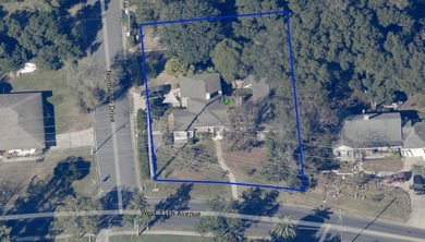 Located less than a mile from Historic Downtown Mount Dora, this - photo 49