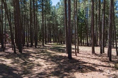 LAKE ACCESS | Lot 551, Cimarron Trail.... Tucked away in a - photo 9