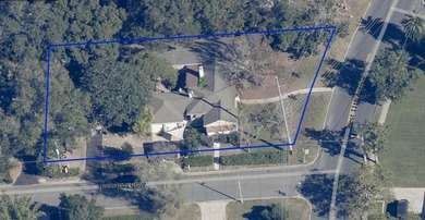 Located less than a mile from Historic Downtown Mount Dora, this - photo 50