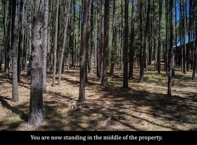 LAKE ACCESS | Lot 551, Cimarron Trail.... Tucked away in a - photo 10