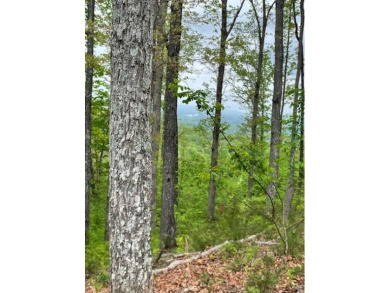Lake Lot For Sale in Blairsville, Georgia