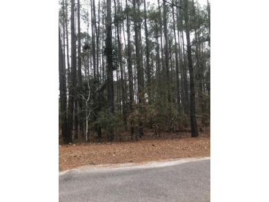 Brown Lake Lot For Sale in Barnwell South Carolina