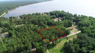 Indian Lake - Schoolcraft County Lot For Sale in Manistique Michigan