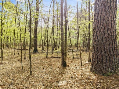 Check out this 20-acre equestrian estate! The property features - photo 22