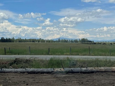 MODERN NEW HOME in an upscale development. This 1893 sq. foot - photo 25