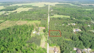 Indian Lake - Schoolcraft County Lot For Sale in Manistique Michigan