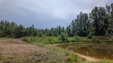 Custom Home on 40 Acres in Hector, Arkansas - Built in